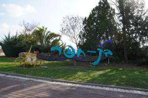 חלון הזדמנויות בבת חפר: נפתחה הגרלת דירה בהנחה עם עדיפות למשרתי המילואים