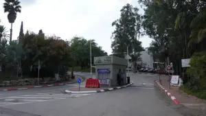 איפה הסוציאליזם כשצריכים אותו?